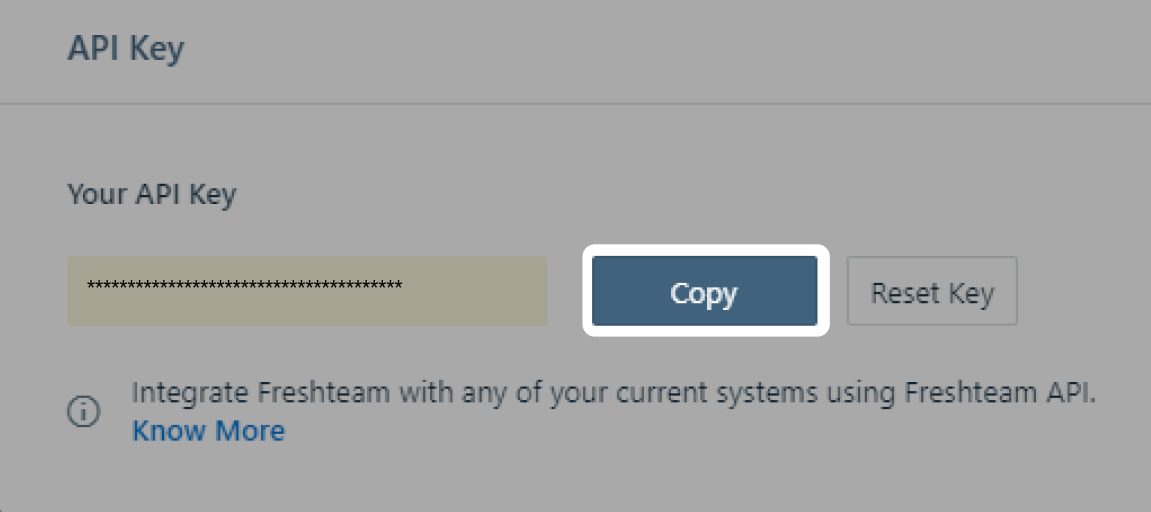The API key ready to copy