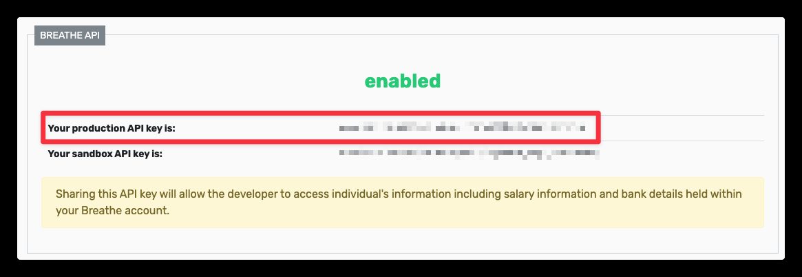 The production API key on the API Setup page