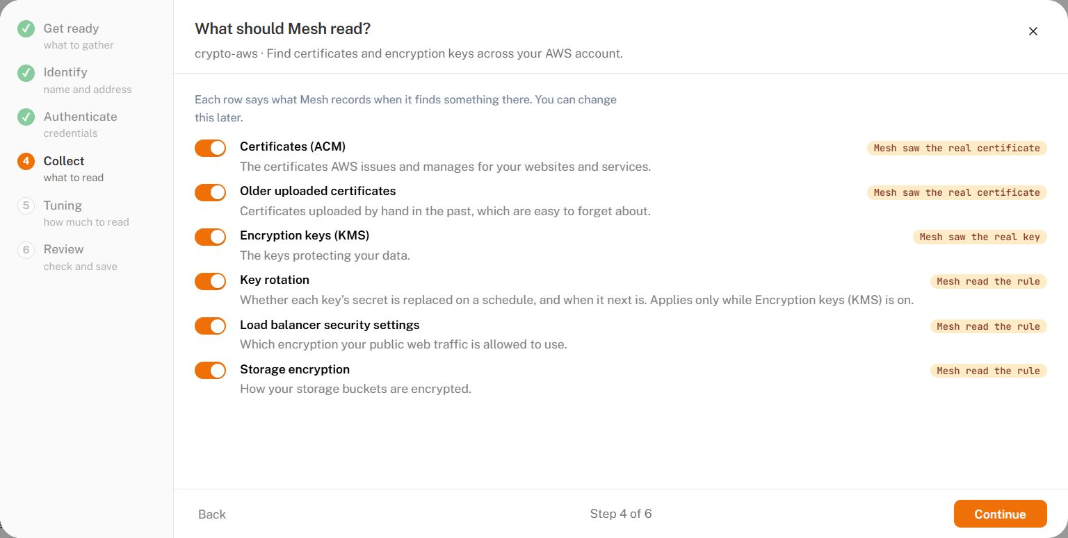 Step 4, Collect, with a switch for each AWS service Mesh can read. Storage encryption has been switched on in this example